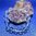 Bracelet Cristal de roche boules 12 mm
